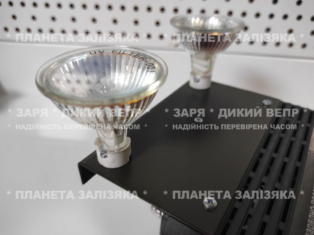 Зарядно-відновлювальний пристрій Master Watt