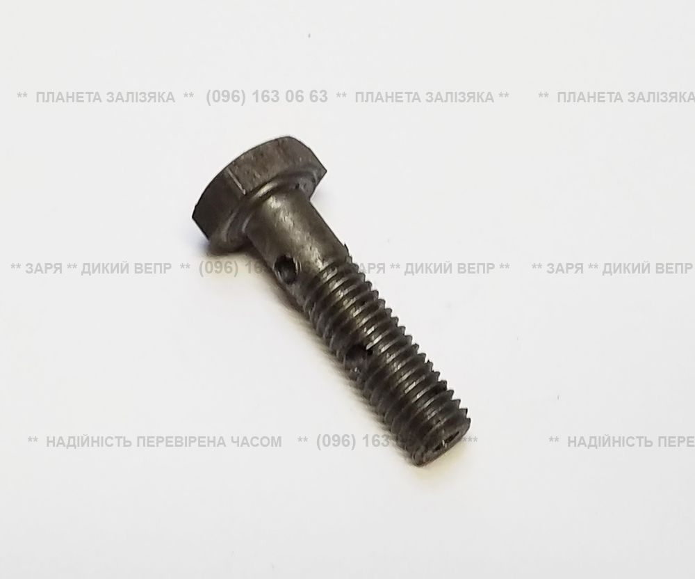 Болт штуцерный M8х1,25, L-32мм