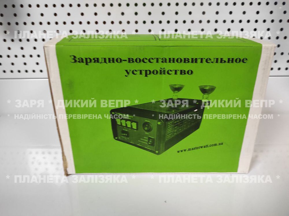 Зарядно-відновлювальний пристрій Master Watt