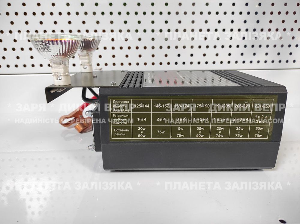 Зарядно-відновлювальний пристрій Master Watt