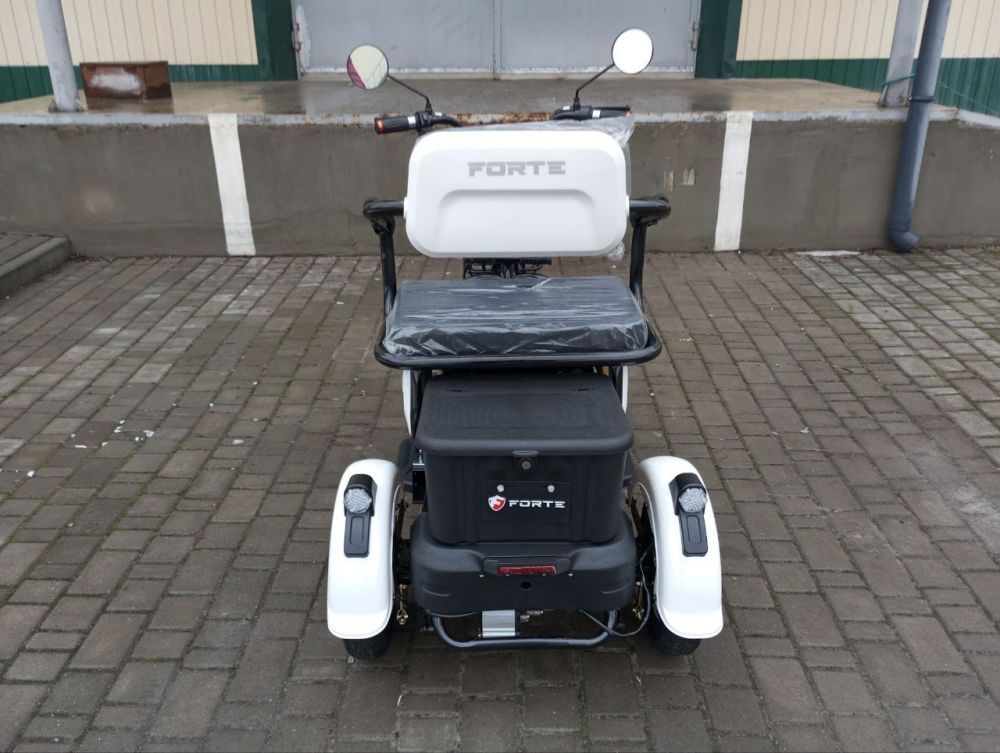 Електроскутер Forte FAMILY (650W; 60V-20Ah SLA) білий, червоний