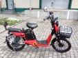 Електровелосипед IDemo Country Liberty (800W; 48V-12Ah AGM)