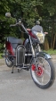 Електровелосипед Заря Дельта (1000W; 60V-20Ah SLA)