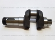 Коленвал для двигателя R195/195ANE/195ANDL (JL)