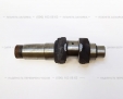 Колінвал для двигуна R195/195ANDL (H14)