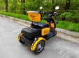 Електроскутер SPARTA CAPTAIN (800W; 60V-20Ah SLA)