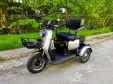 Электроскутер SPARTA CAPTAIN (800W; 60V-20Ah SLA)