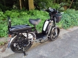 Електровелосипед TTG Modern (800W; 60V-12Ah Li-ion)