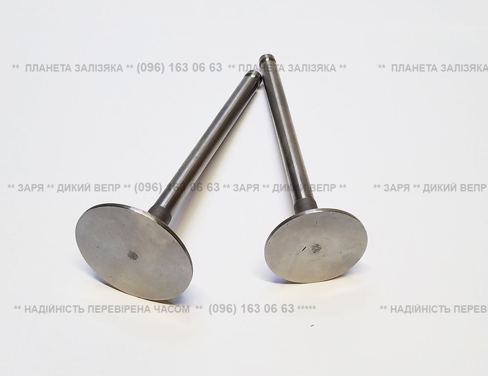Клапана для двигателя R195, H-120мм (пара)