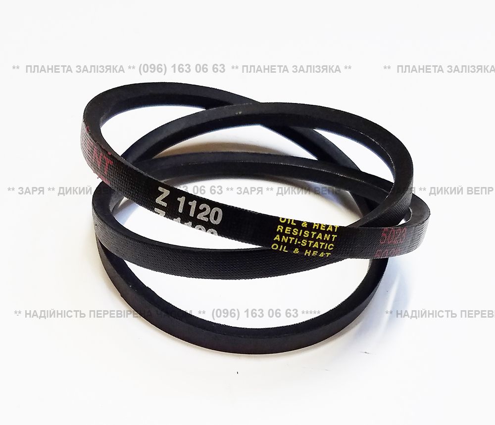 Пас Z-1120 для двигуна R195/S1100