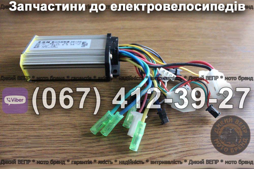 Контролер Заря Стриж